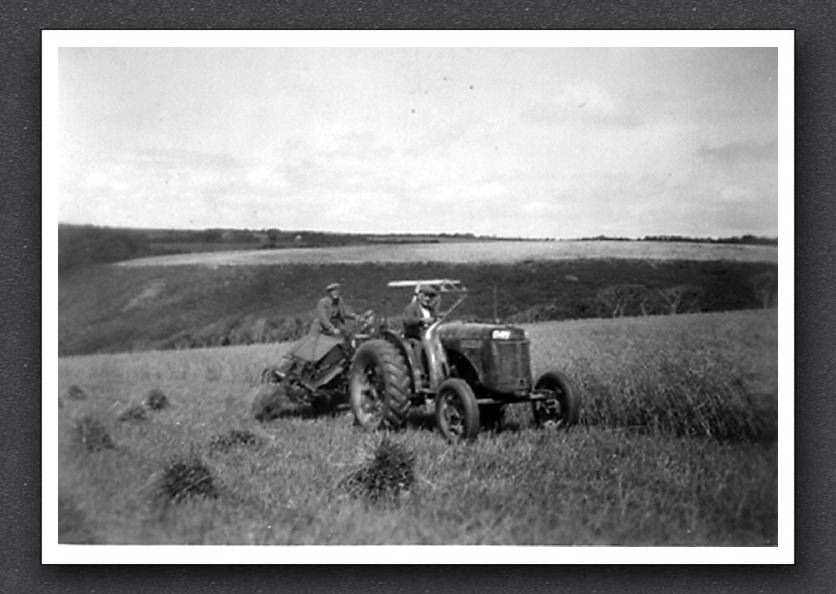 Farming Lymebridge