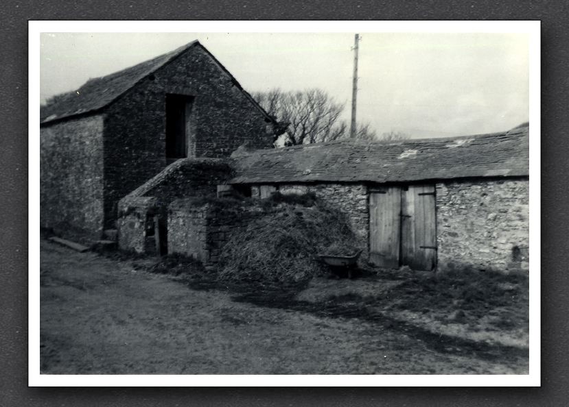 Trellick Barn & Pig Sty