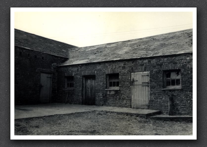 Trellick Cow Sheds