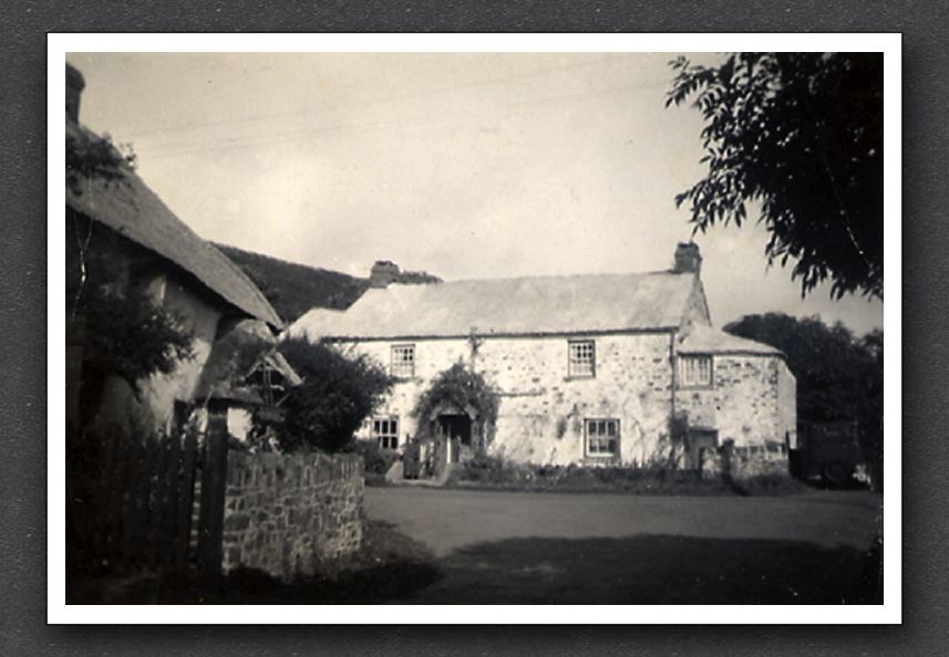 Lymebridge 3