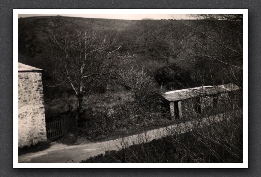 Watersmeet Cottage & Pig Sties4