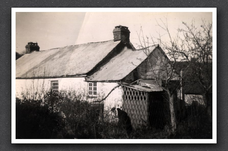 Watersmeet Cottage Rear Toilet