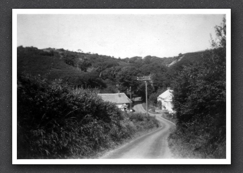 Elmscott Hill Lymebridge 1951