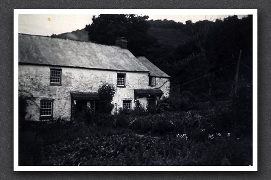 Watersmeet Garden 1953