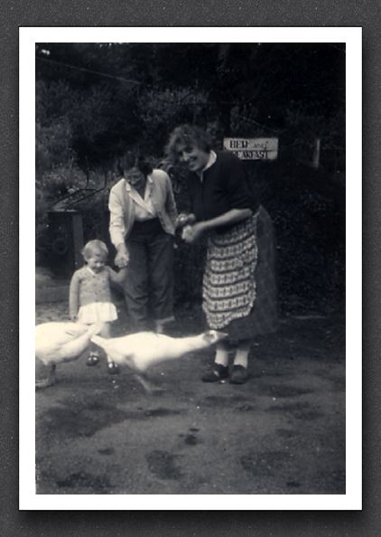 Geese Aug 1958