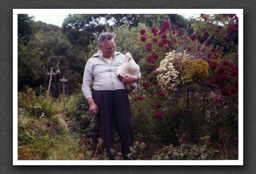 John Henderson Garden