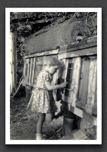 Sue Rabbits 1959