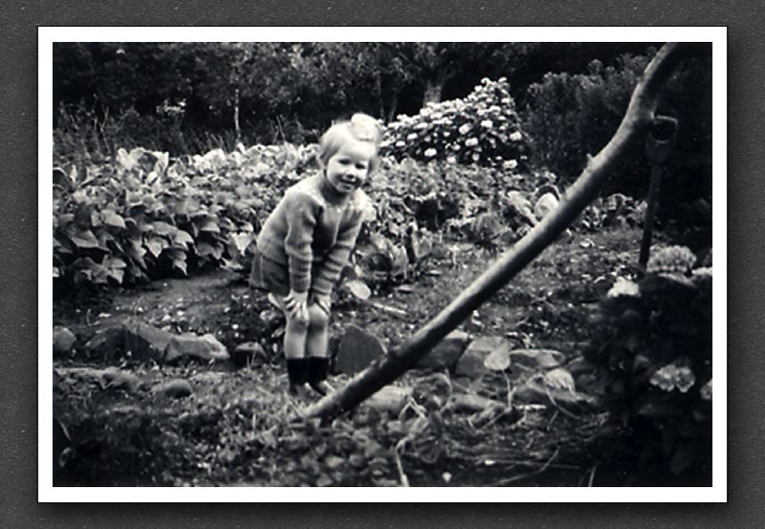 Sue Garden 2