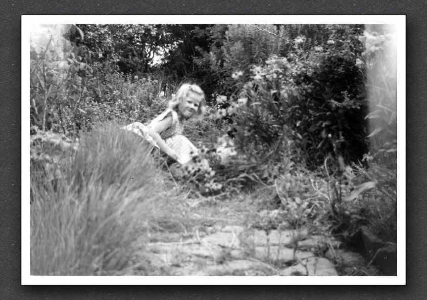 Susan Knowles Watersmeet Garden