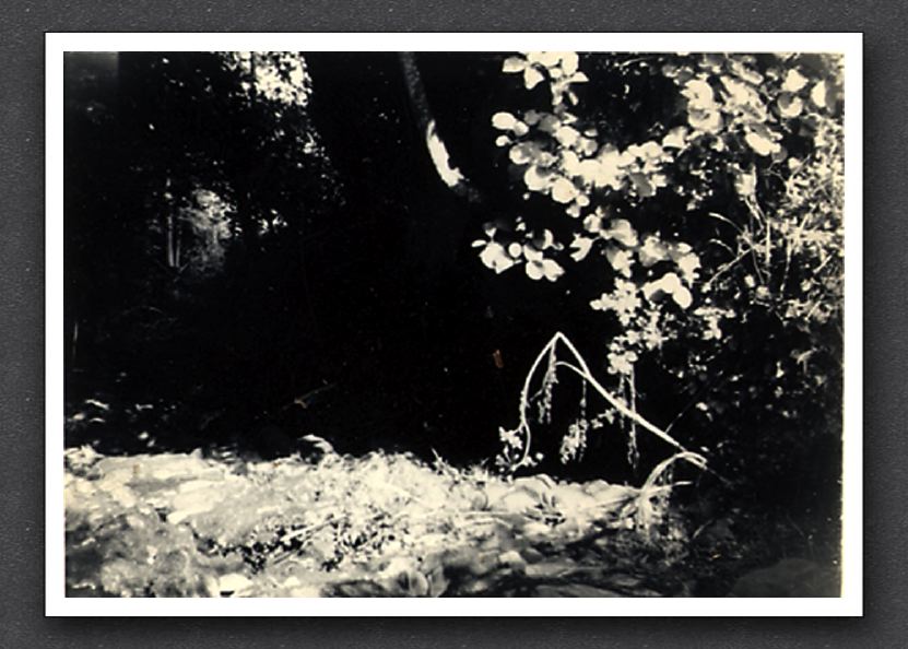 Stream 1959