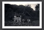 Watersmeet Garden 1954