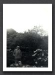 Edith Knowles Watewrsmeet Garden
