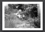 Susan Knowles Watersmeet Garden
